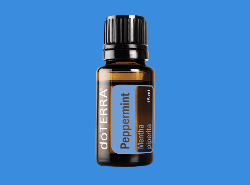 Peppermint - Mentha Piperita - Essential Oil