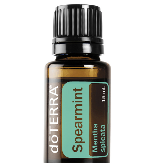 Spearmint - Mentha Spicata - Essential Oil