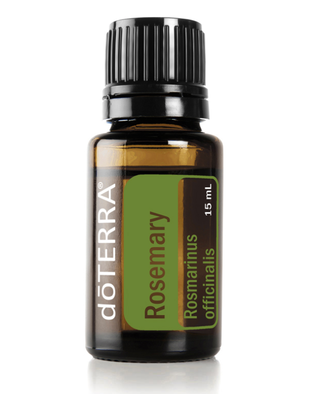 Rosemary - Rosemarinus Officinialis - Essential Oil