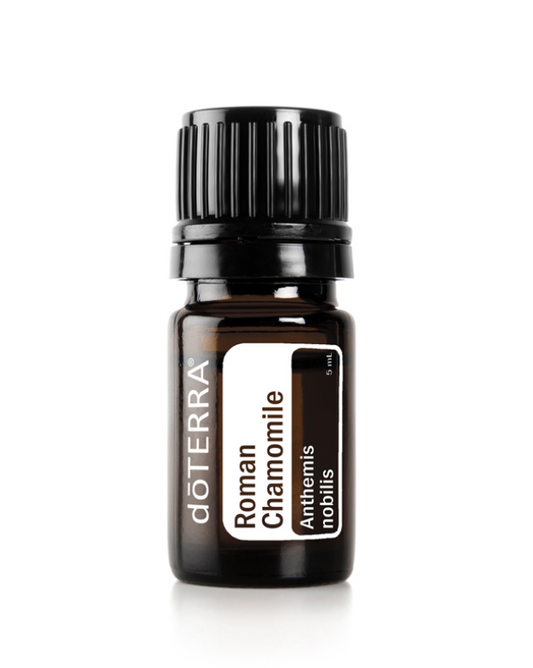 Roman Chamomile - Anthemis Nobilis - Essential Oil