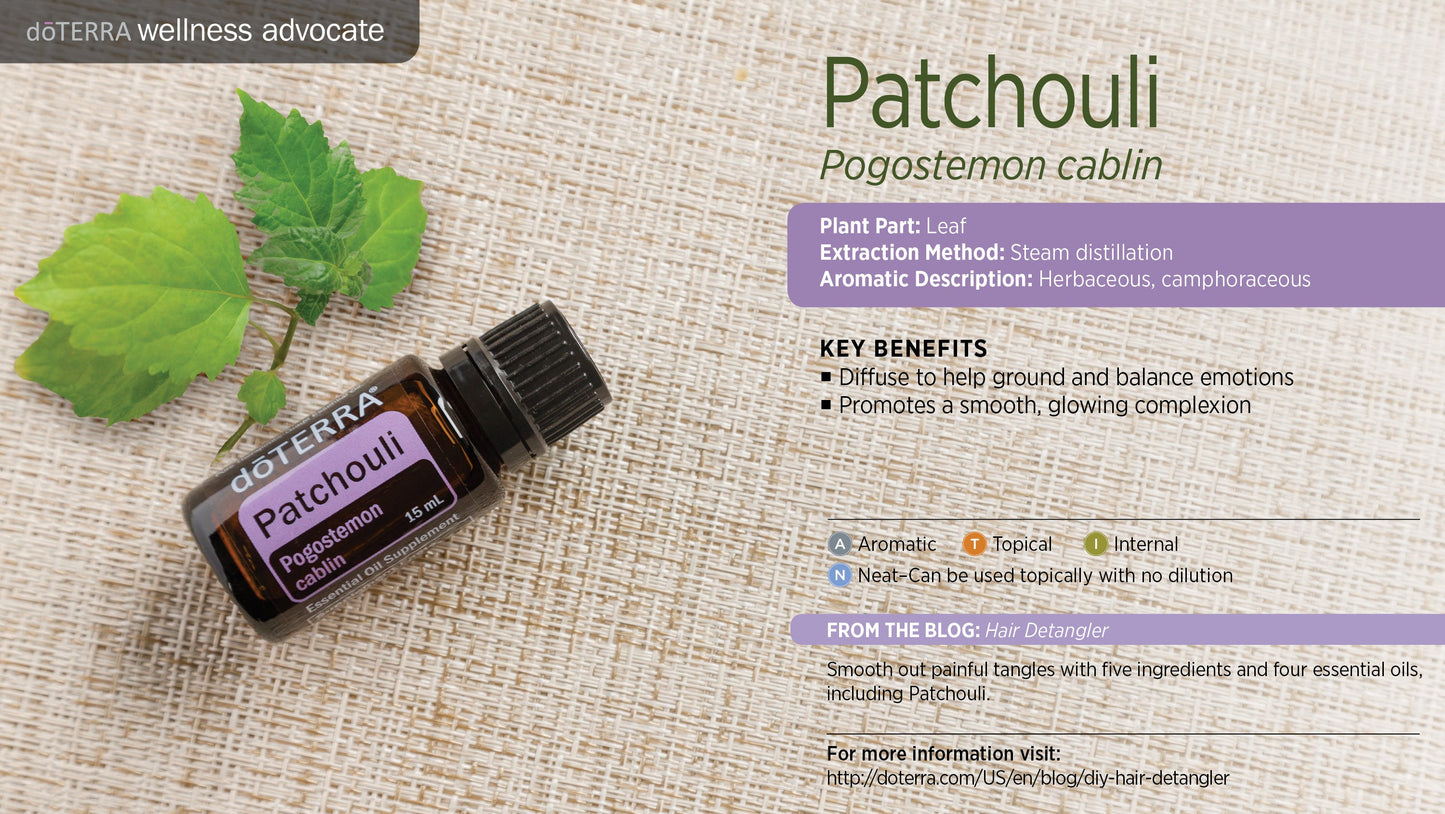 Patchouli - Pogostemon Cablin - Essential Oil