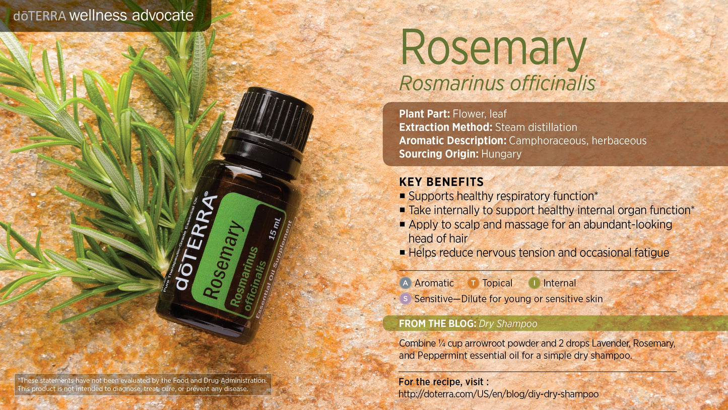 Rosemary - Rosemarinus Officinialis - Essential Oil