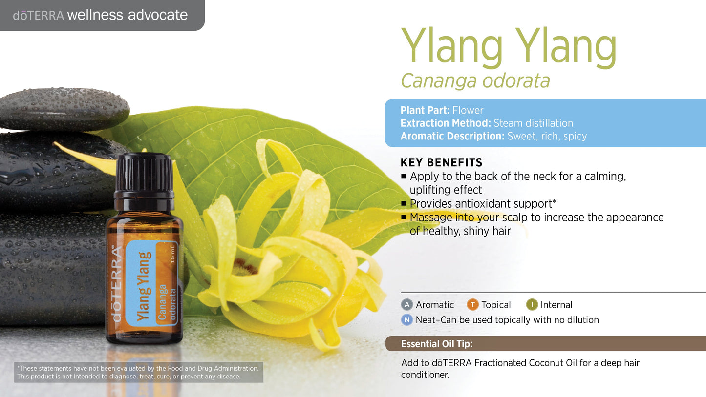 Ylang Ylang - Essential Oil